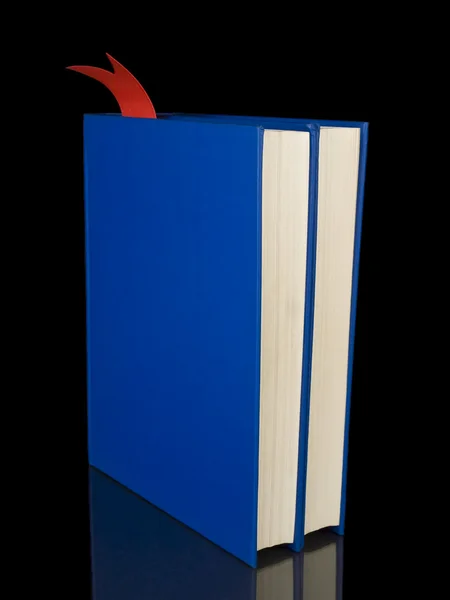 Zwei blaue Bücher — Stockfoto