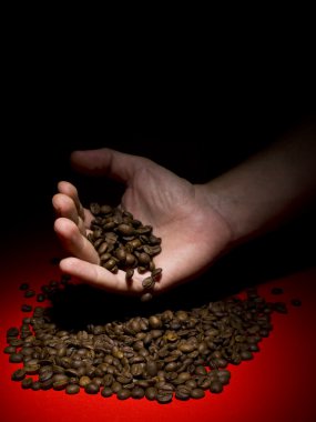 Coffee beans clipart