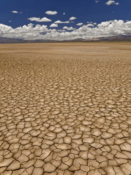 가뭄 — 스톡 사진