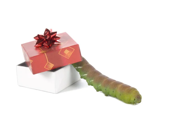 Tricky gift — Stock Photo, Image