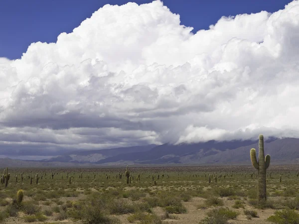 Tempestade no deserto — Fotografia de Stock
