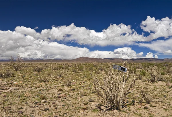 Perdidos no deserto — Fotografia de Stock