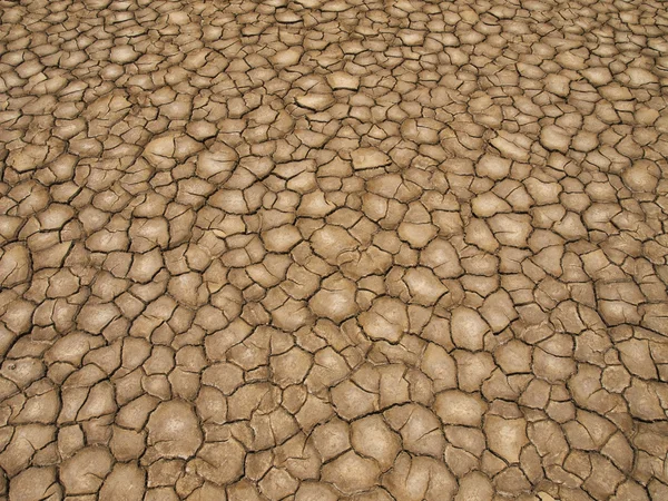 가뭄 — 스톡 사진
