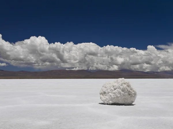 Bir tutam tuz — Stok fotoğraf
