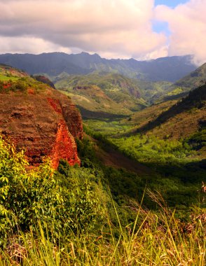 Waimea Kanyonu