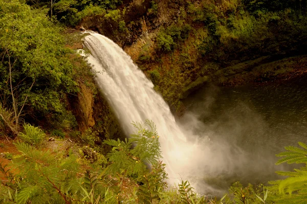 Wailua Falls — Stockfoto