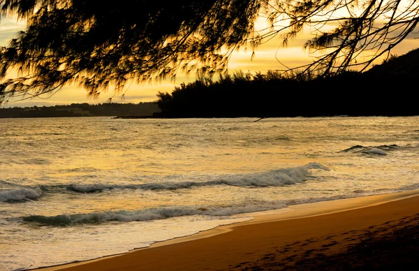 カウアイ島のビーチ — ストック写真