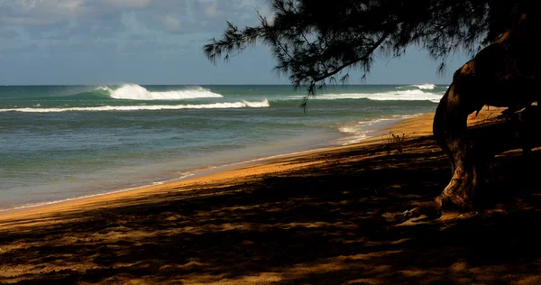 Kauai Beach — Stock Photo, Image