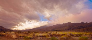 Palm Springs Pano