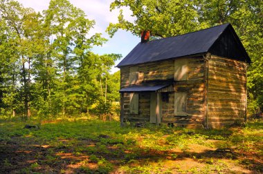 Amerikan homestead