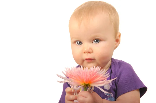 Baby med blomst - Stock-foto