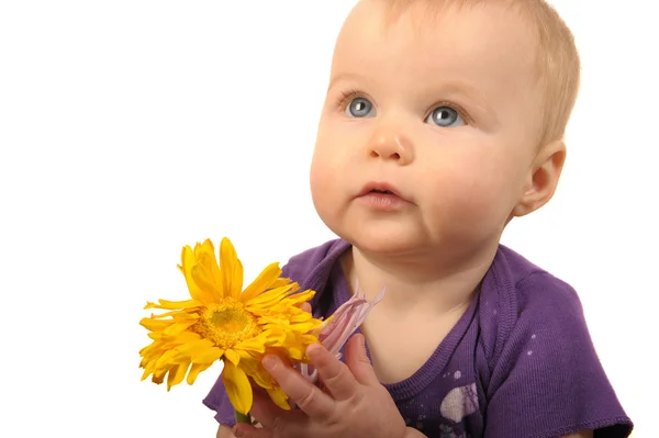 꽃과 아기 — 스톡 사진