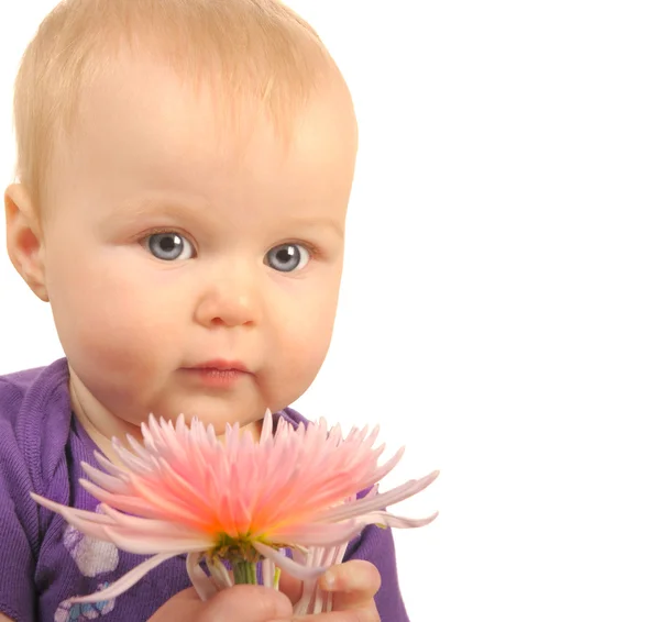 Baby met bloem — Stockfoto