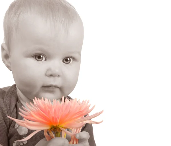 Dítě s květinou — Stock fotografie