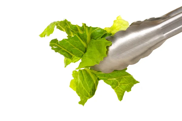 stock image Salad and tongs