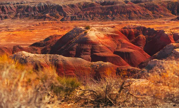 Painted desert — Stock Photo, Image