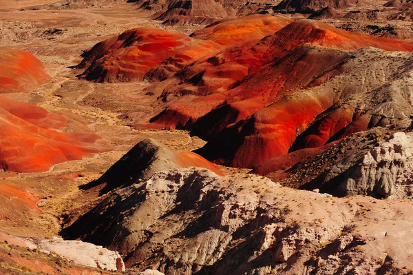 Painted Desert — Stock Photo, Image