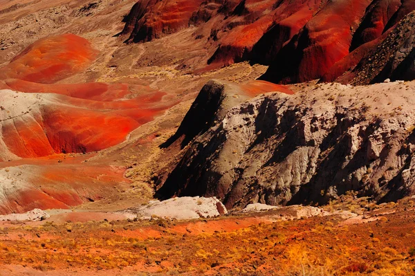 Desertul pictat — Fotografie, imagine de stoc