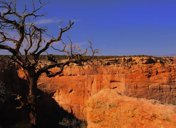 Canyon De Chelly — Stock Photo, Image
