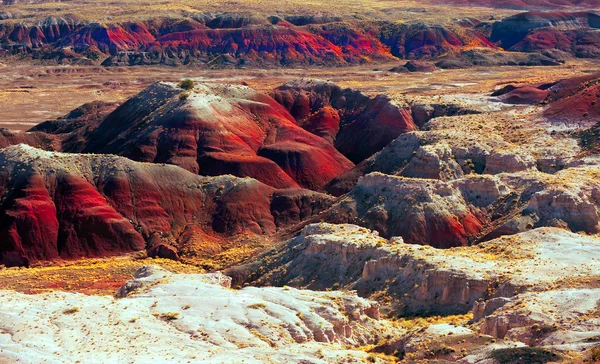 Boyalı çöl — Stok fotoğraf