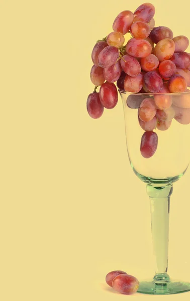 Red Grapes On gold — Stock Photo, Image