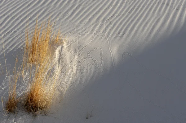 Λευκή άμμο — Φωτογραφία Αρχείου