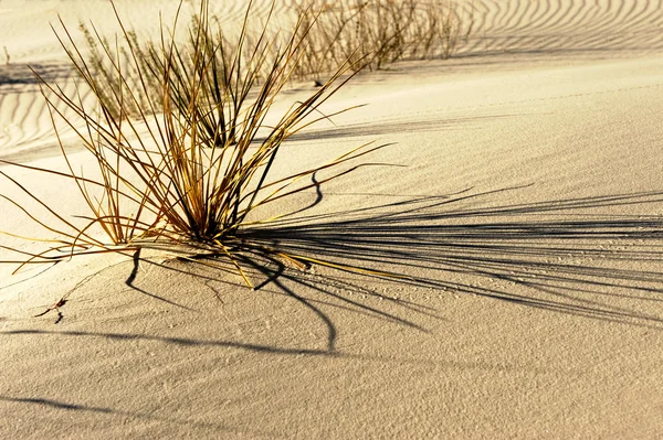 White sands — Stock Photo, Image