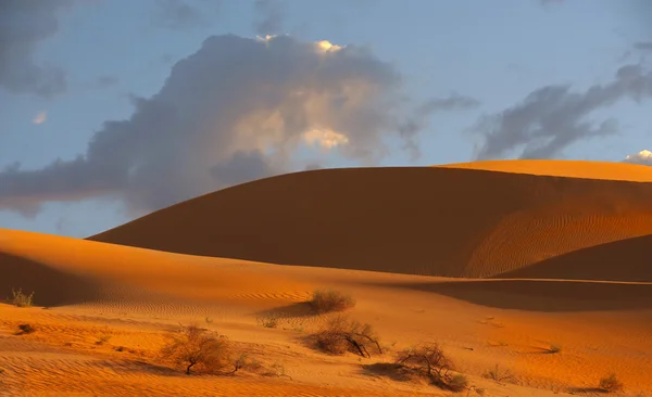 Imperial Sand dunes — Stock Photo, Image