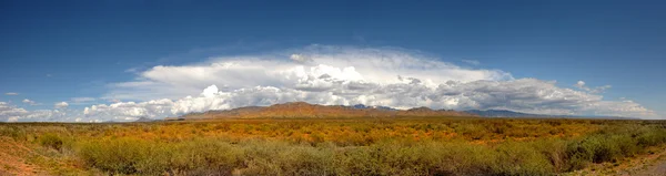 Нью-Мексико Пано — стоковое фото