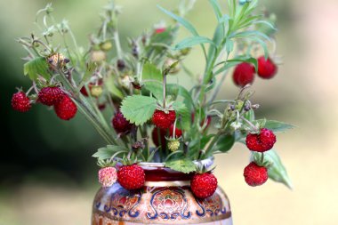 Wild strawberry bouquet clipart