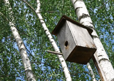 Birdhouse clipart