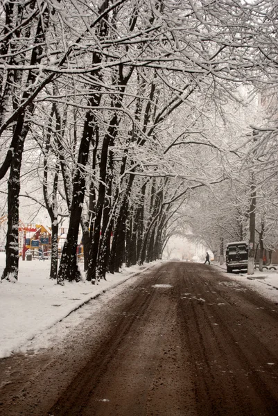 Τοπίο Χειμώνα Επαρχιακούς Δρόμους Στο Χιόνι Κατακόρυφου Προσανατολισμού — Φωτογραφία Αρχείου