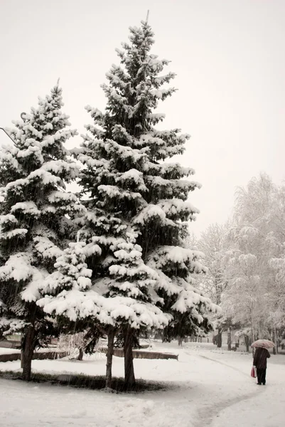 Χριστουγεννιάτικο δέντρο στο χιόνι — Φωτογραφία Αρχείου