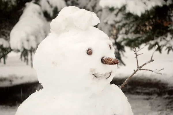 Neşeli kardan adam — Stok fotoğraf