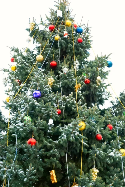 stock image Christmas tree