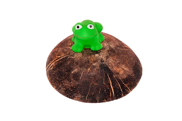 장난감 개구리 — 스톡 사진