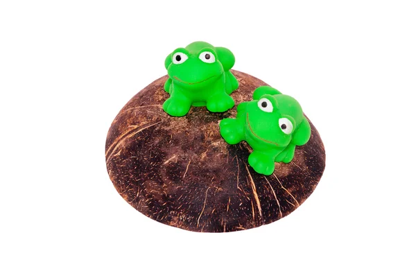 坐在棕色的一个岛上的小小绿色玩具青蛙 — 图库照片