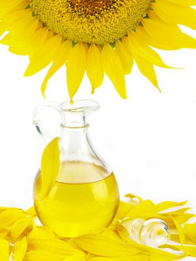 Sunflower clipart