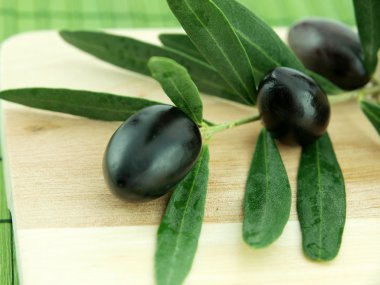 zeytin