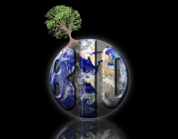 Biologische aarde — Stockfoto