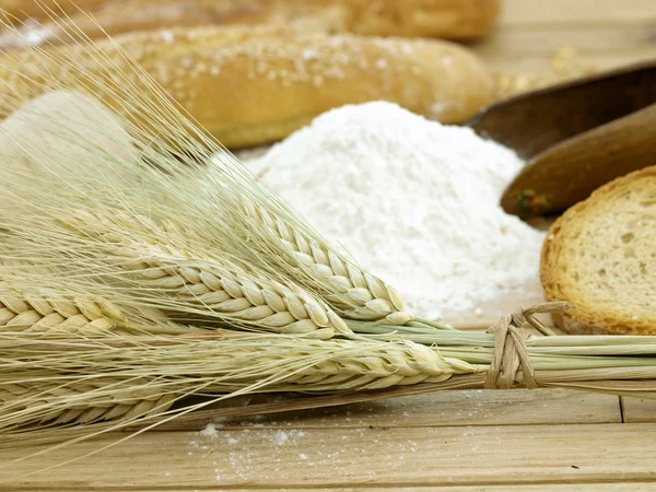 Пшениця і борошна — стокове фото