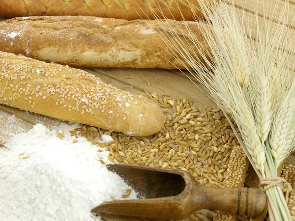 Trigo e farinha — Fotografia de Stock