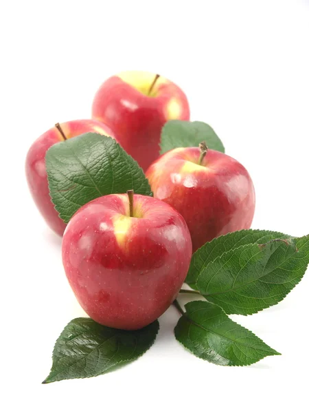 Omenat — kuvapankkivalokuva