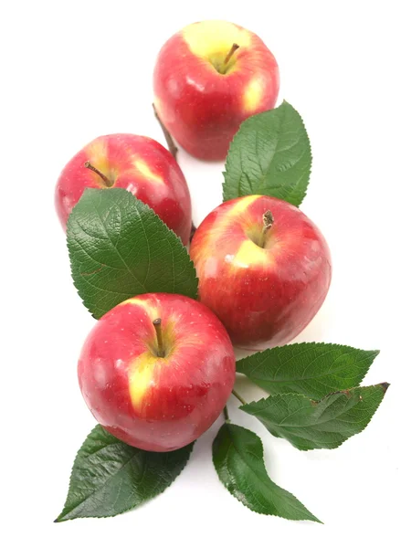 Manzanas — Foto de Stock