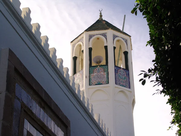 Moschee Tunis Der Hauptstadt Tunesiens Nordafrika — Stockfoto