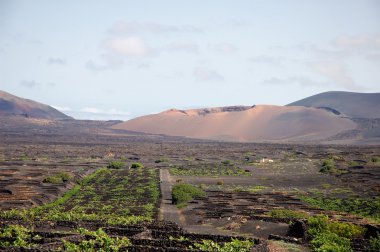 lanzarote, Kanarya Adaları, İspanya, Avrupa'nın yanardağ