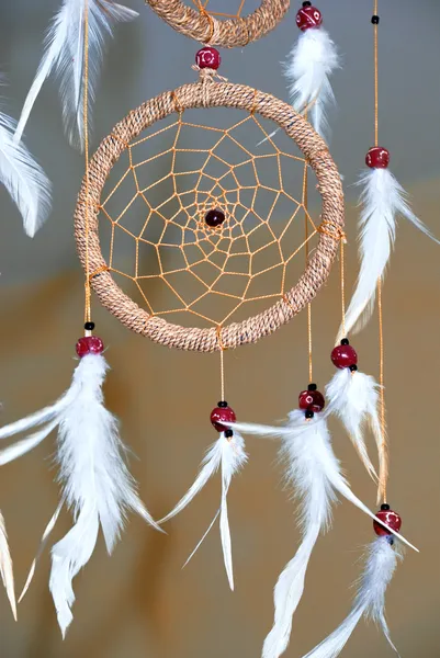 stock image Dream catcher