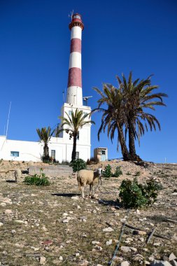 deniz feneri