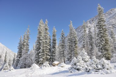 Winter with mountains and fur-trees in snow clipart