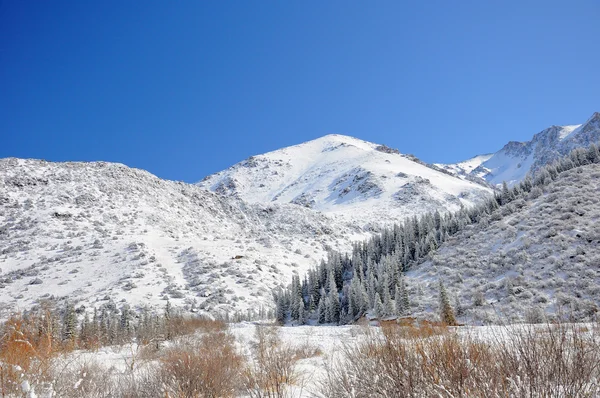 Зима в горах с голубым небом и облаками — стоковое фото